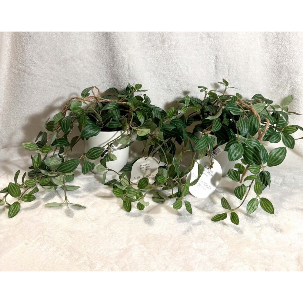Threshold Hanging Artificial Zebrina Plant Set of 2 Green Decor New